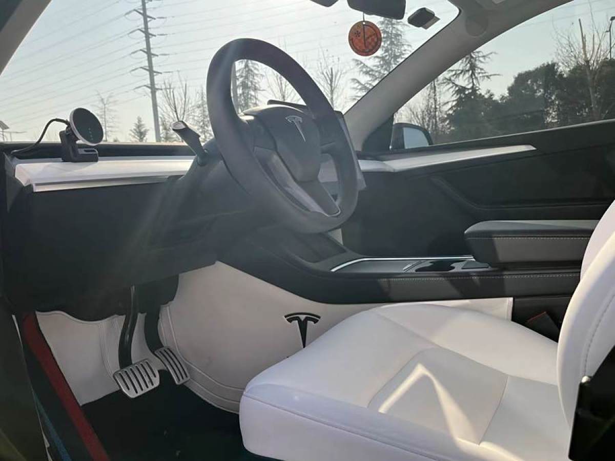 特斯拉 Model 3  2022款 Performance高性能全輪驅(qū)動版圖片