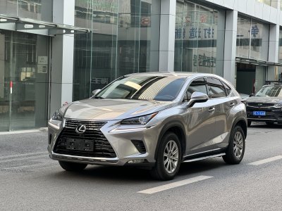 2019年3月 雷克薩斯 NX 300 前驅(qū) 鋒行版圖片