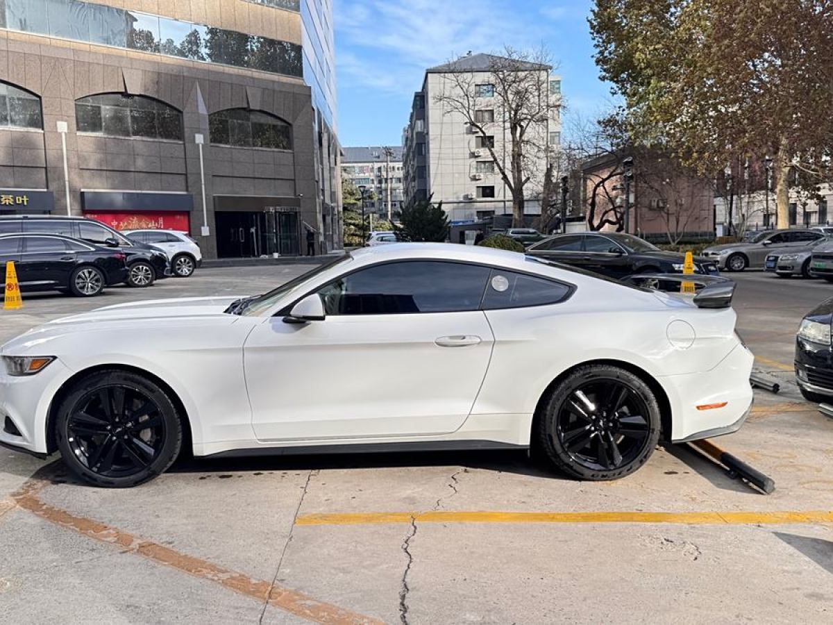 福特 Mustang  2016款 2.3T 運動版圖片