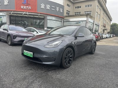 2021年6月 特斯拉 Model Y 長續(xù)航全輪驅(qū)動版 3D7圖片