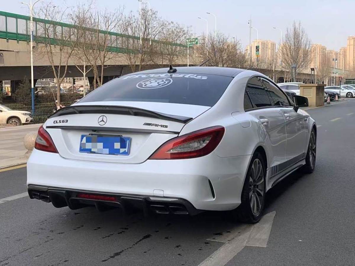 奔馳 奔馳CLS級  2015款 CLS 320圖片