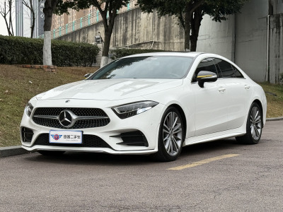 2020年9月 奔馳 奔馳CLS級(進口) CLS 300 動感型圖片