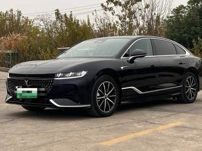 2024年4月 嵐圖 嵐圖追光 PHEV 四驅(qū)超長續(xù)航行政版圖片