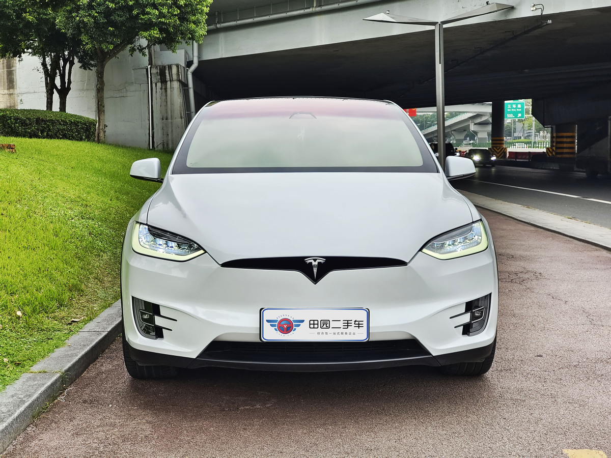 特斯拉 Model X  2019款 長(zhǎng)續(xù)航版圖片