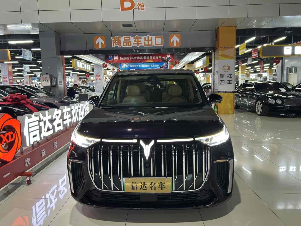 嵐圖 夢想家  2024款 PHEV 超長續(xù)航旗艦版圖片