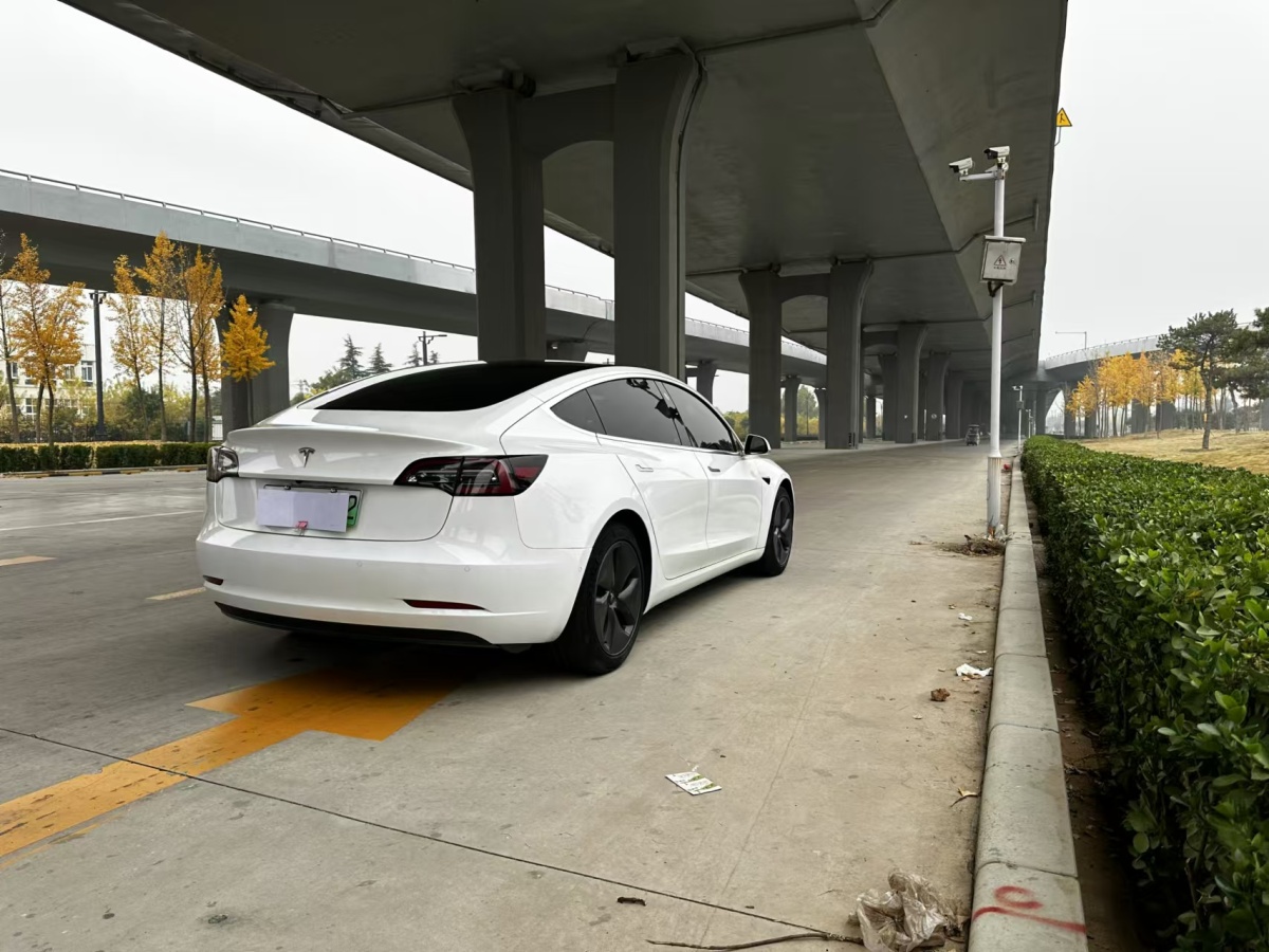 特斯拉 Model 3  2020款 改款 標準續(xù)航后驅升級版圖片