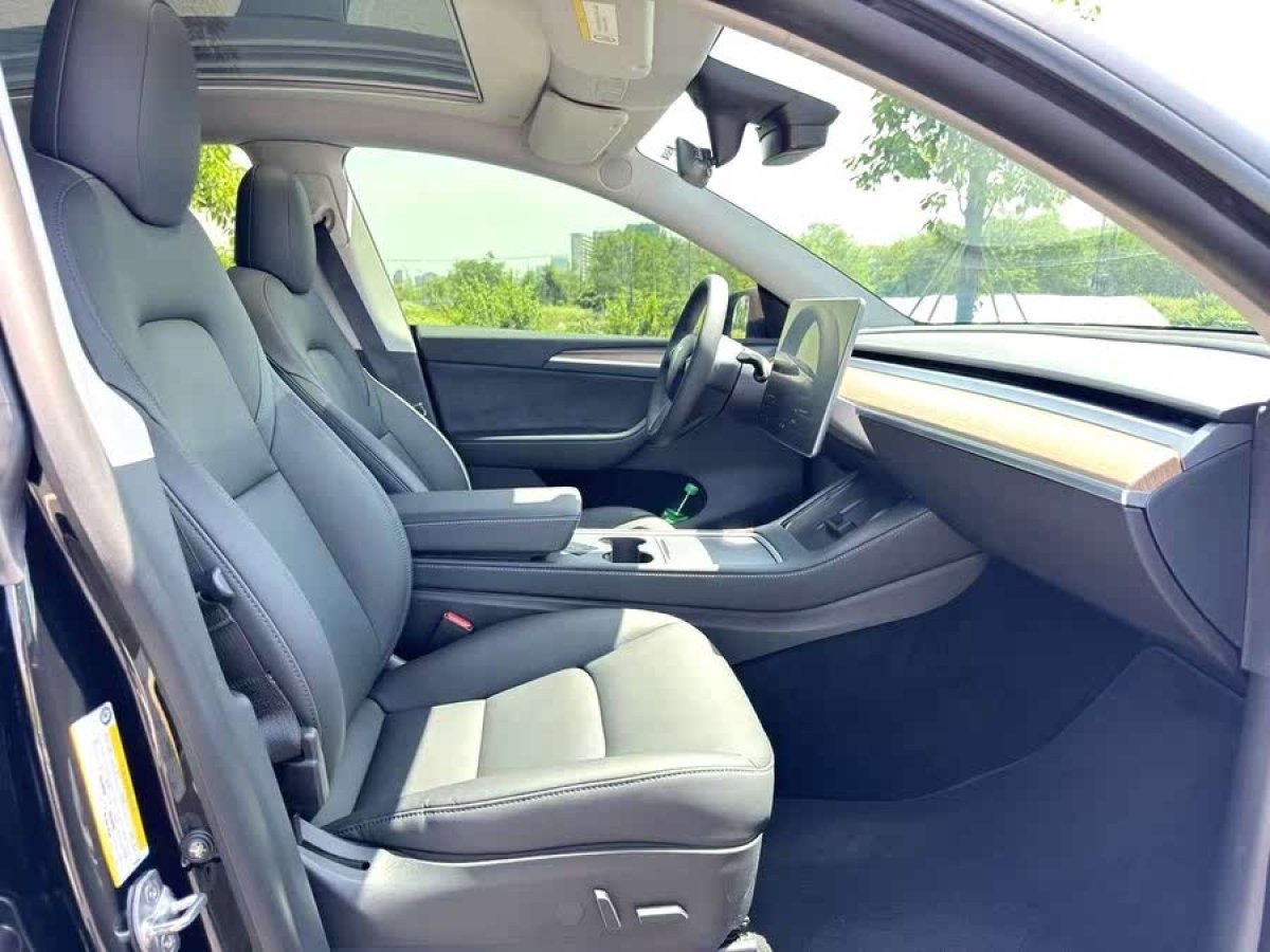特斯拉 Model Y  2021款 標(biāo)準(zhǔn)續(xù)航后驅(qū)版圖片