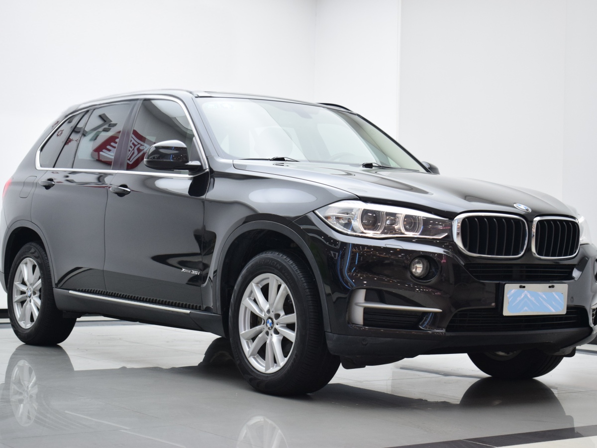寶馬 寶馬X5  2014款 xDrive35i 領(lǐng)先型圖片