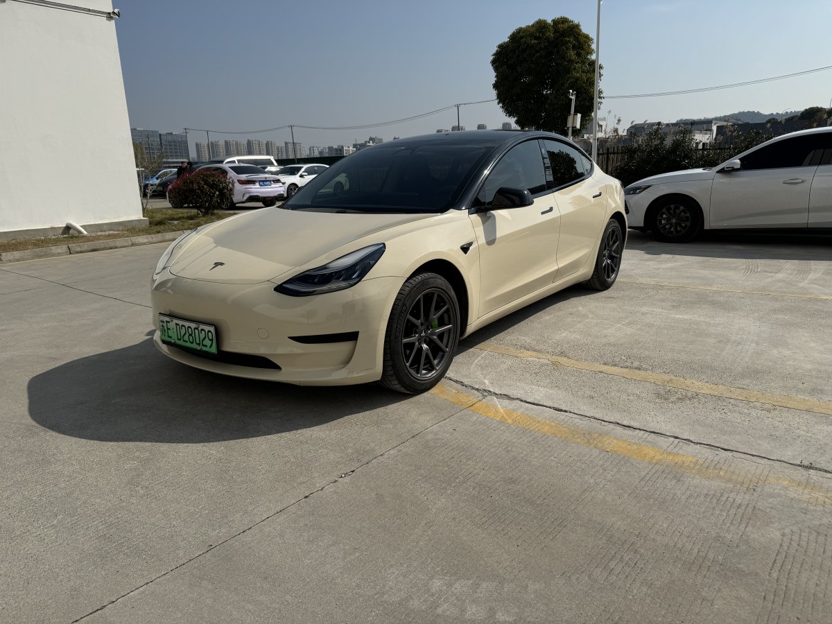 2020年3月特斯拉 Model 3  2019款 標(biāo)準(zhǔn)續(xù)航后驅(qū)升級(jí)版