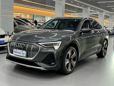 2023年1月 奧迪 奧迪e-tron(進口) Sportback 55 quattro 臻選型圖片