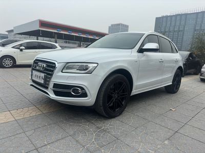 2017年1月 奧迪 奧迪SQ5(進(jìn)口) SQ5 3.0 TFSI quattro圖片