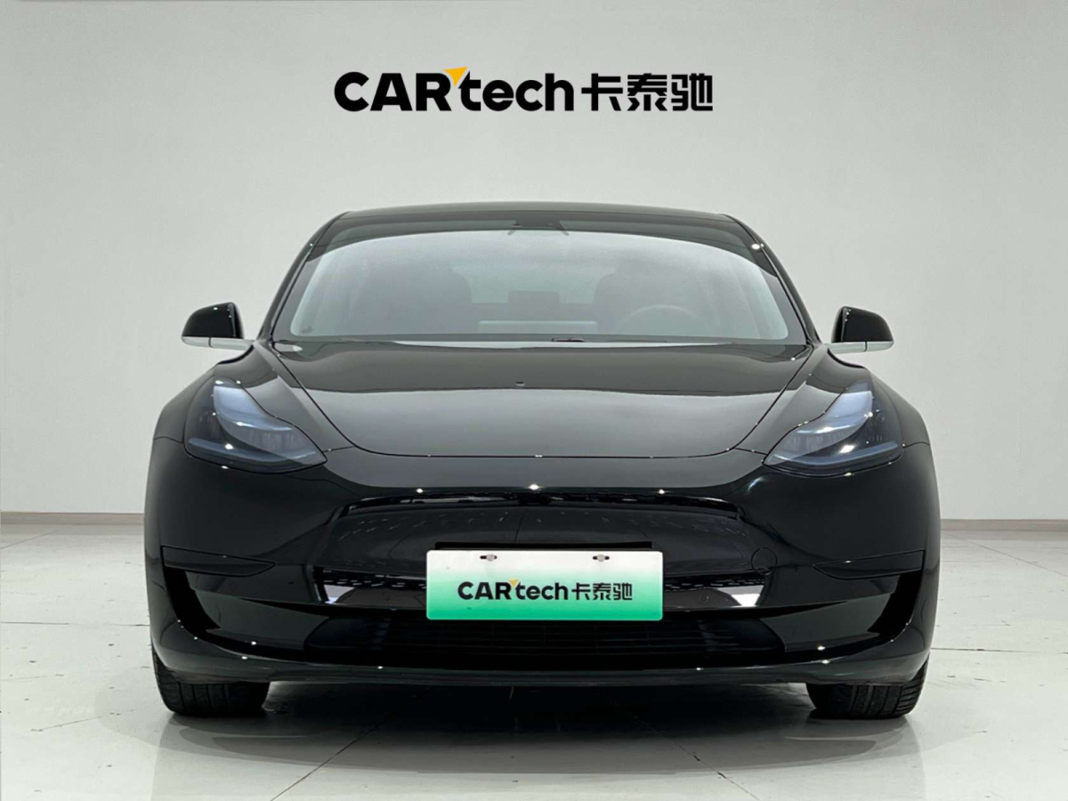 特斯拉 Model 3  2019款 標(biāo)準(zhǔn)續(xù)航后驅(qū)升級版圖片