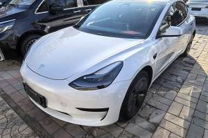 Model 3 特斯拉 改款 標準續(xù)航后驅升級版