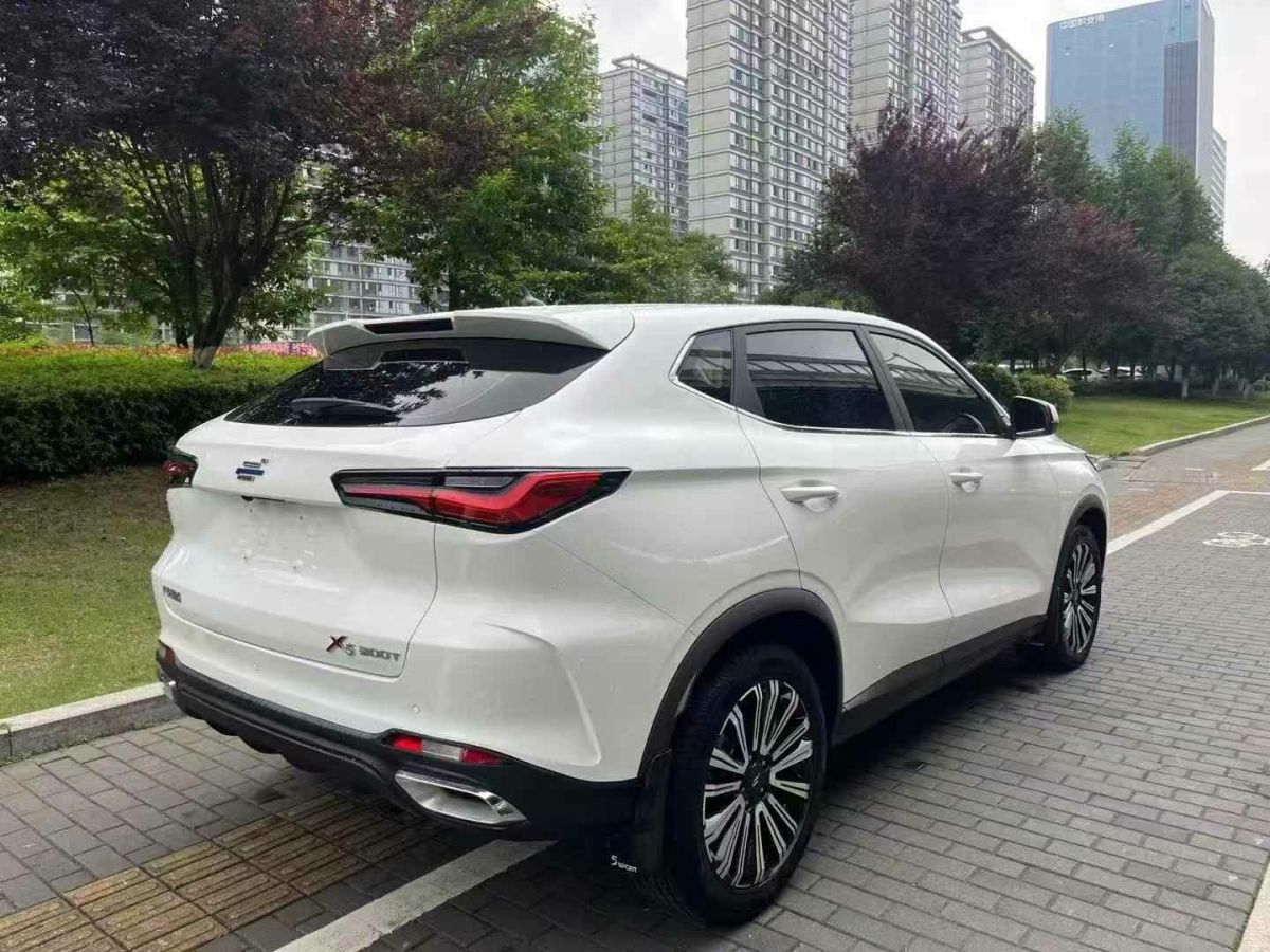 長(zhǎng)安歐尚 長(zhǎng)安歐尚X5  2021款 1.5T DCT尊貴型圖片