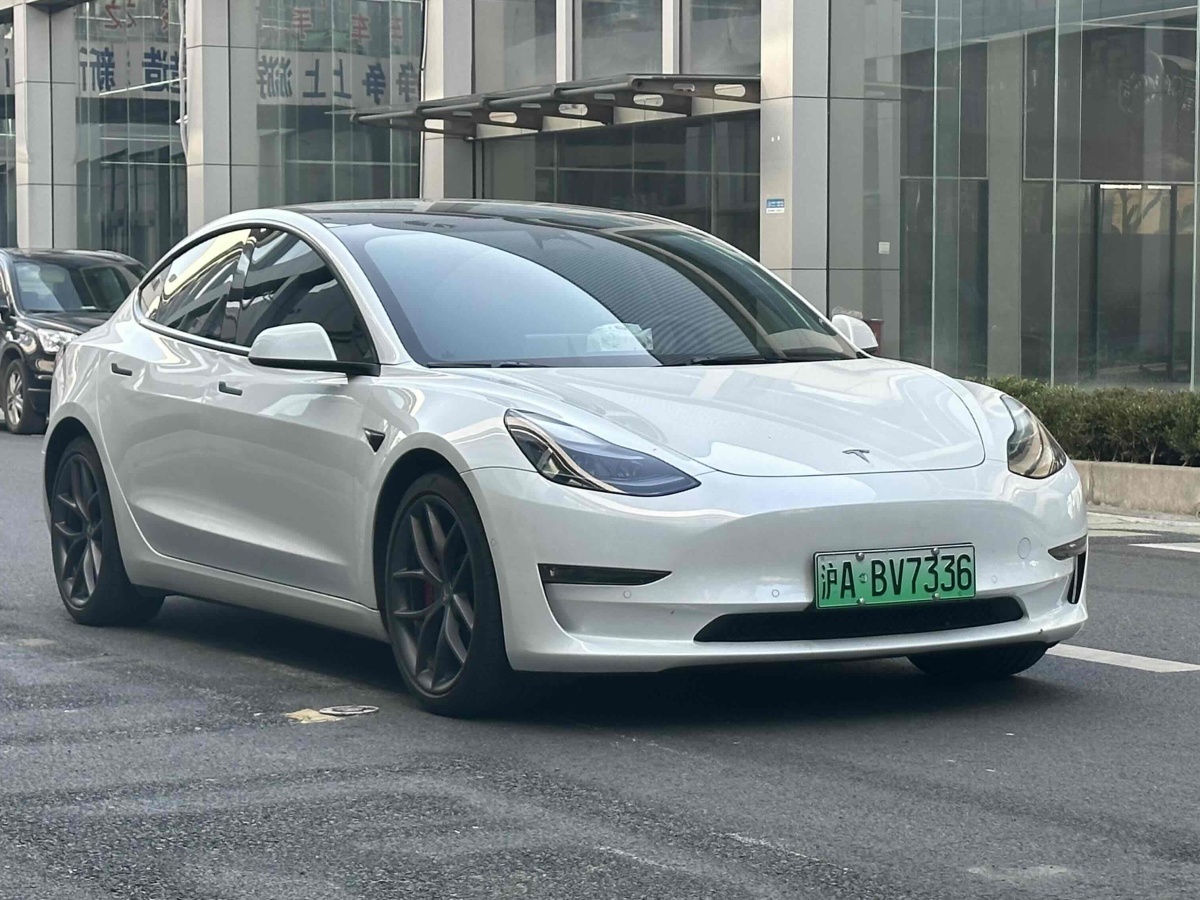 特斯拉 Model 3  2019款 Performance高性能全輪驅(qū)動版圖片