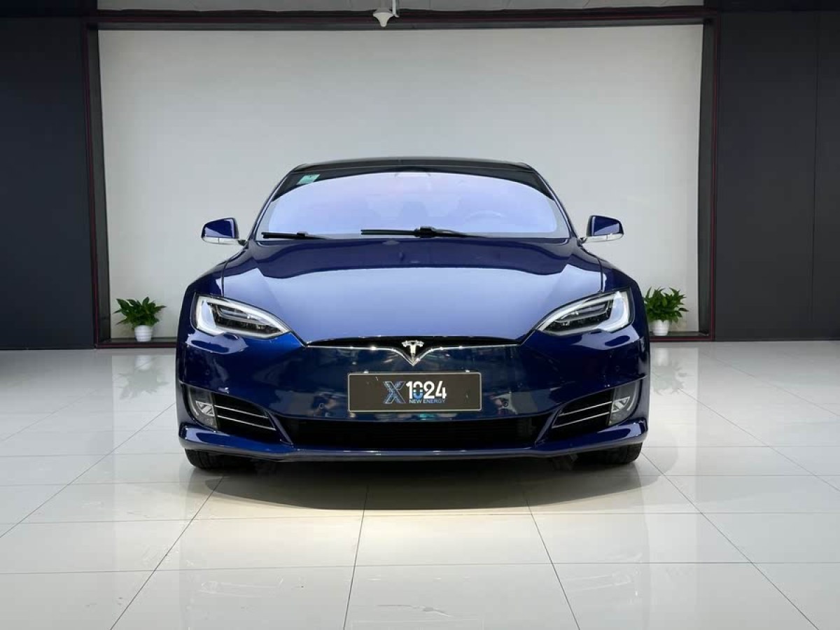 特斯拉 Model S  2017款 Model S 100D圖片