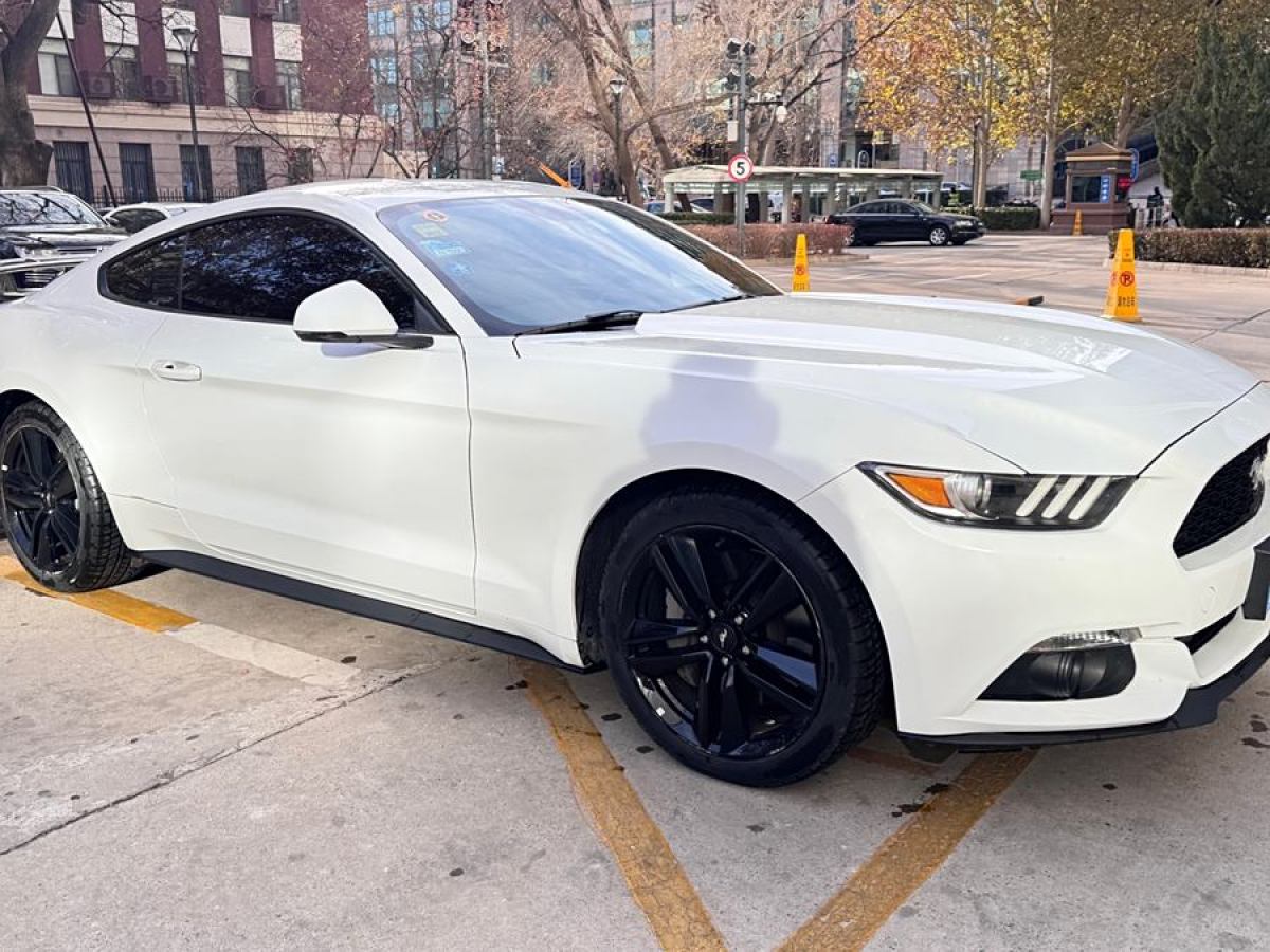 福特 Mustang  2016款 2.3T 運動版圖片