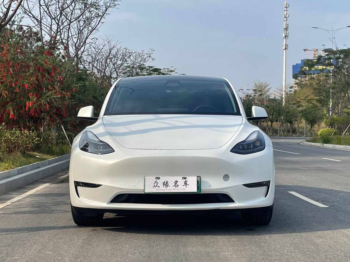 特斯拉 Model Y  2021款 長續(xù)航全輪驅(qū)動(dòng)版 3D7圖片