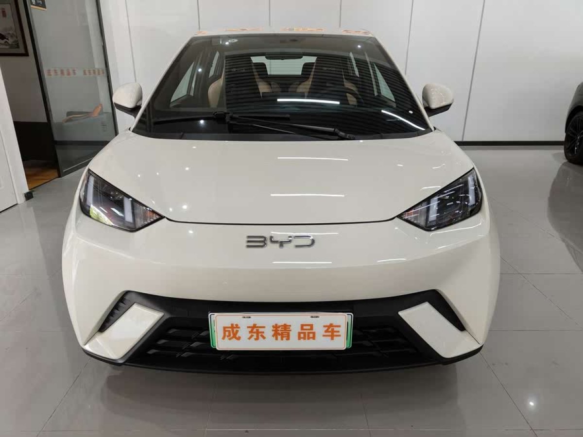 比亞迪 海鷗  2024款 榮耀版 405km 飛翔版圖片