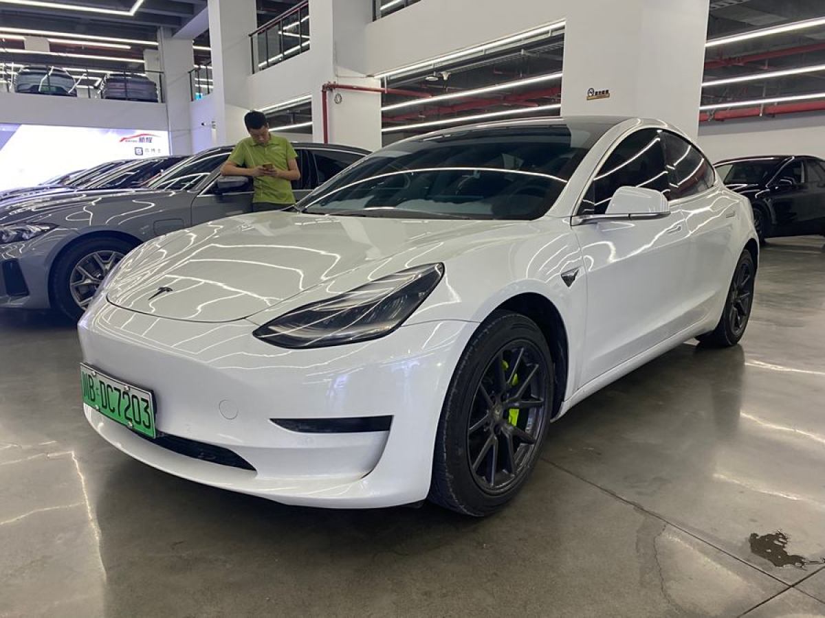 特斯拉 Model 3  2019款 標(biāo)準(zhǔn)續(xù)航后驅(qū)升級版圖片