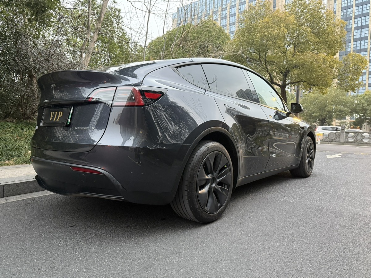 特斯拉 Model Y  2024款 后輪驅(qū)動版圖片