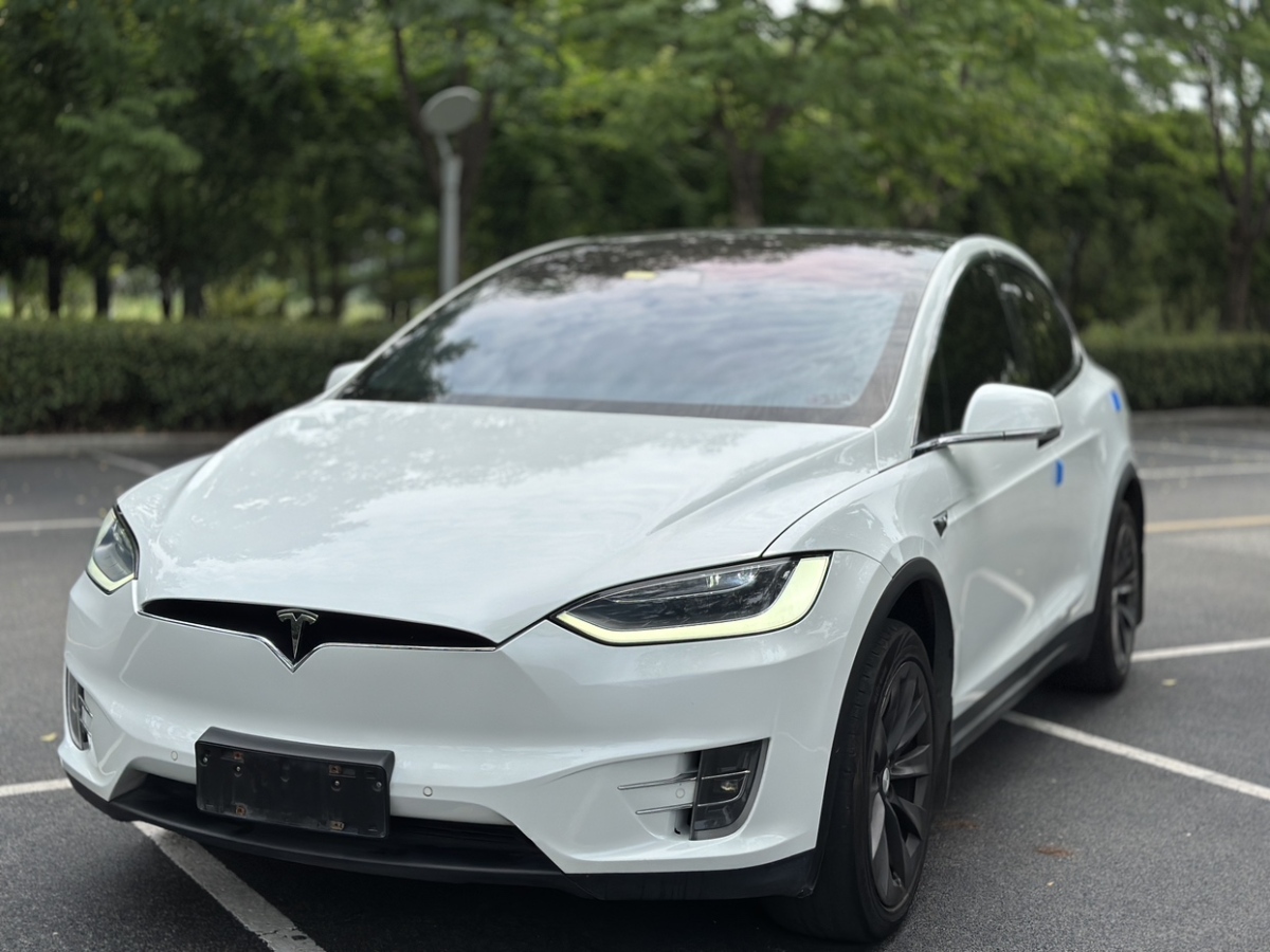 2018年07月特斯拉 Model X  2017款 Model X 100D 長續(xù)航版