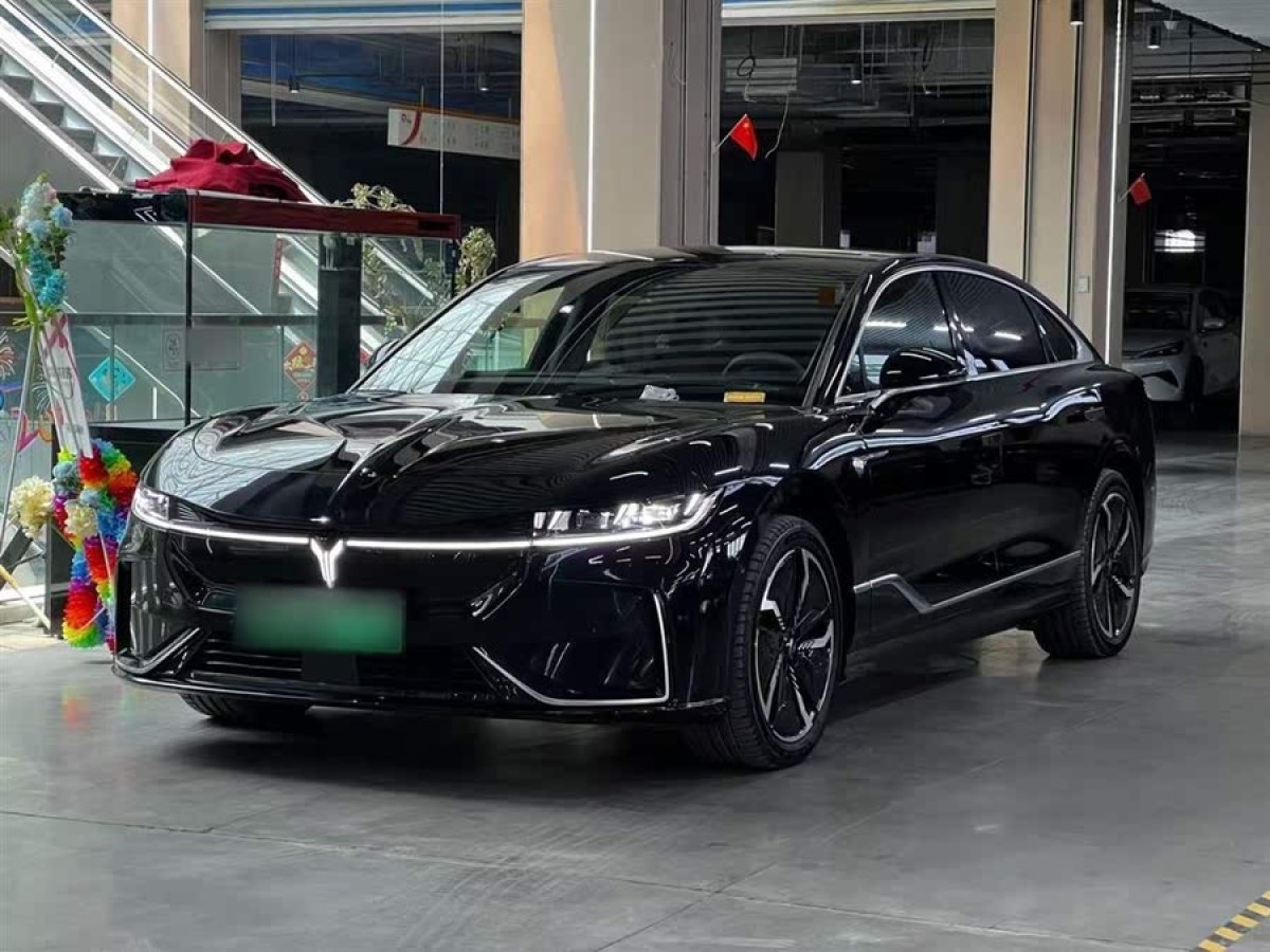 嵐圖 嵐圖追光  2023款 標(biāo)準(zhǔn)版圖片