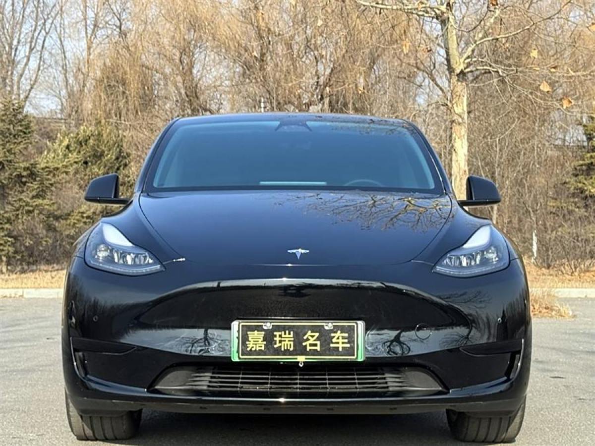 特斯拉 Model 3  2020款 改款 長續(xù)航后輪驅(qū)動版圖片