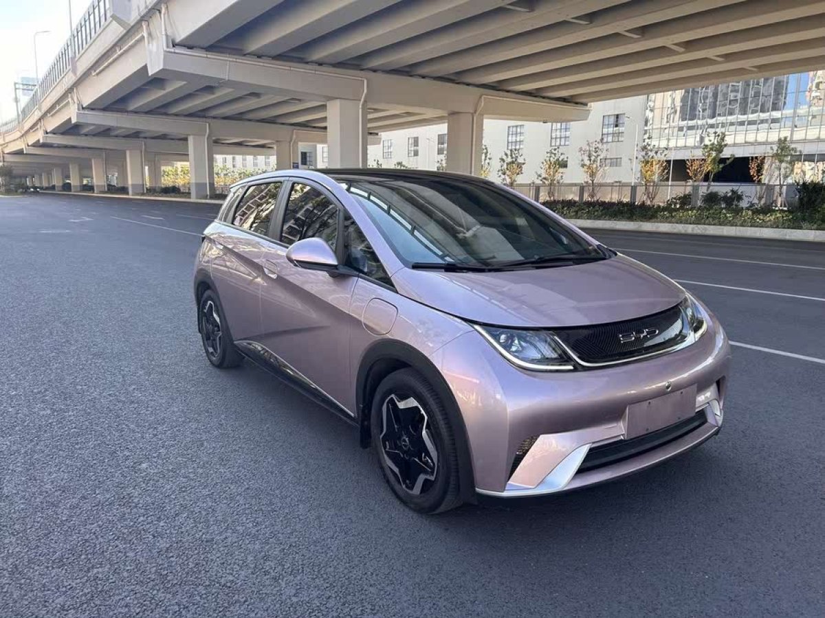 比亞迪 海豚  2021款 405km 時尚版圖片