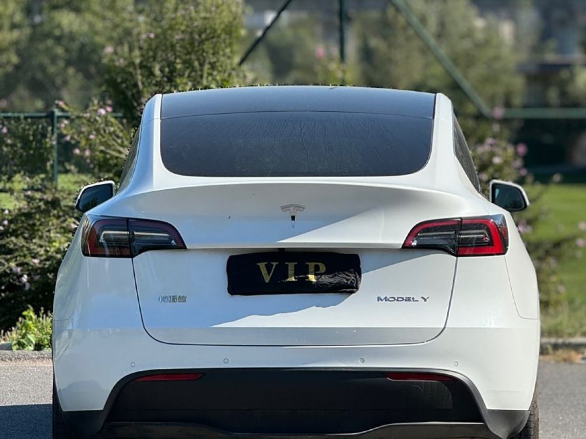 特斯拉 Model 3  2021款 改款 長續(xù)航全輪驅動版圖片