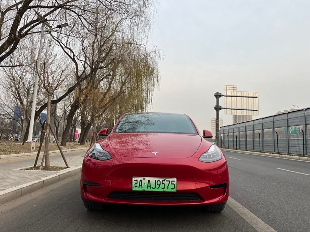 特斯拉 Model 3  2020款 改款 長續(xù)航后輪驅(qū)動版圖片