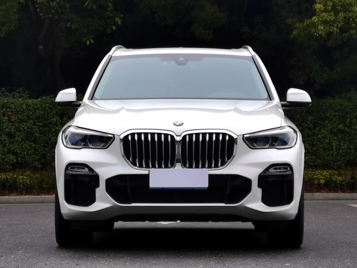 宝马 宝马X5  2019款 xDrive40i M运动套装图片