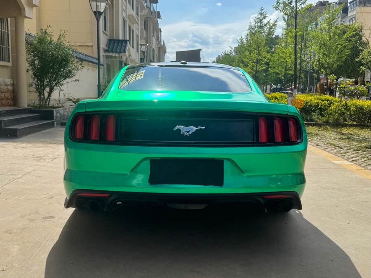 福特 Mustang  2017款 2.3T 性能版圖片