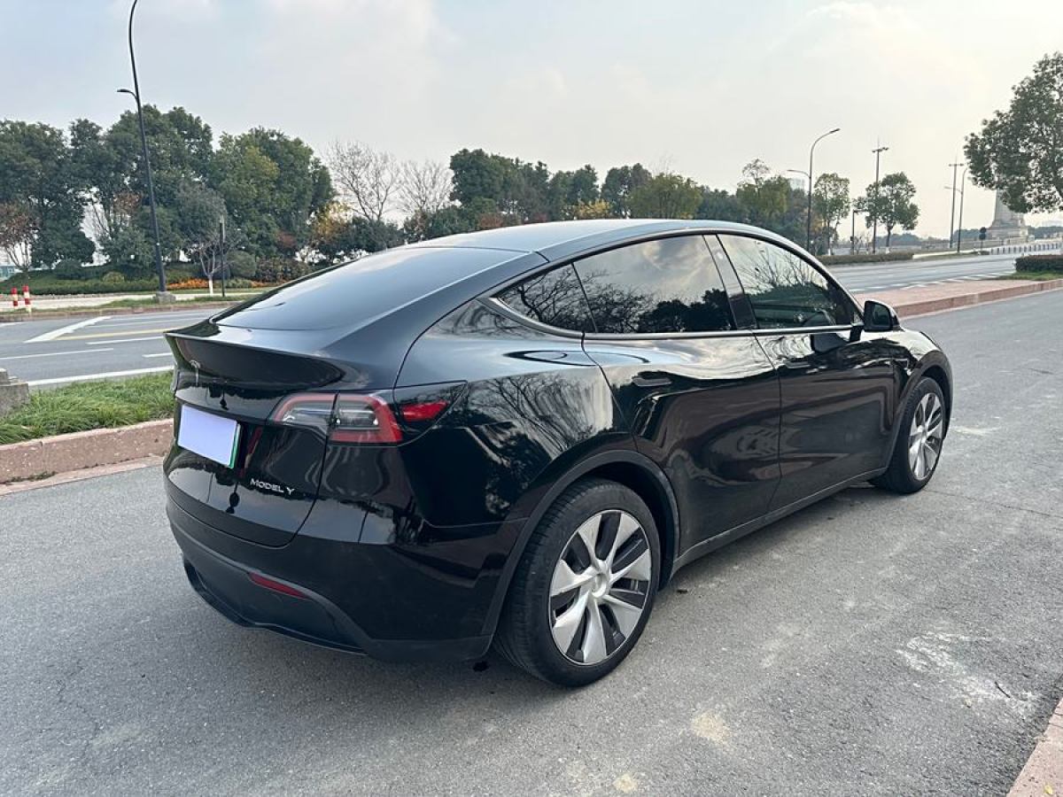 特斯拉 Model 3  2022款 后輪驅(qū)動版圖片