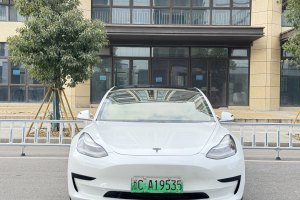 Model 3 特斯拉 標(biāo)準(zhǔn)續(xù)航后驅(qū)升級(jí)版 3D6