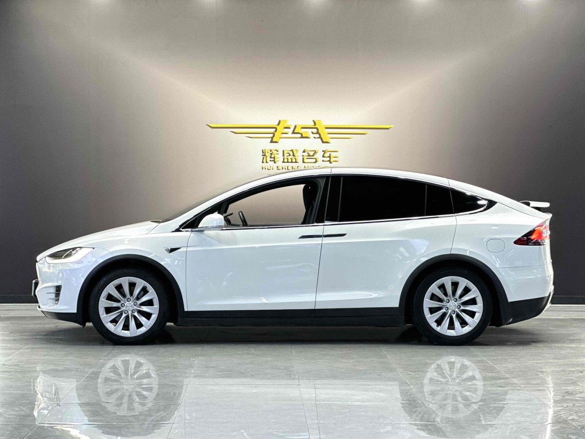 特斯拉 Model X  2016款 Model X 75D圖片