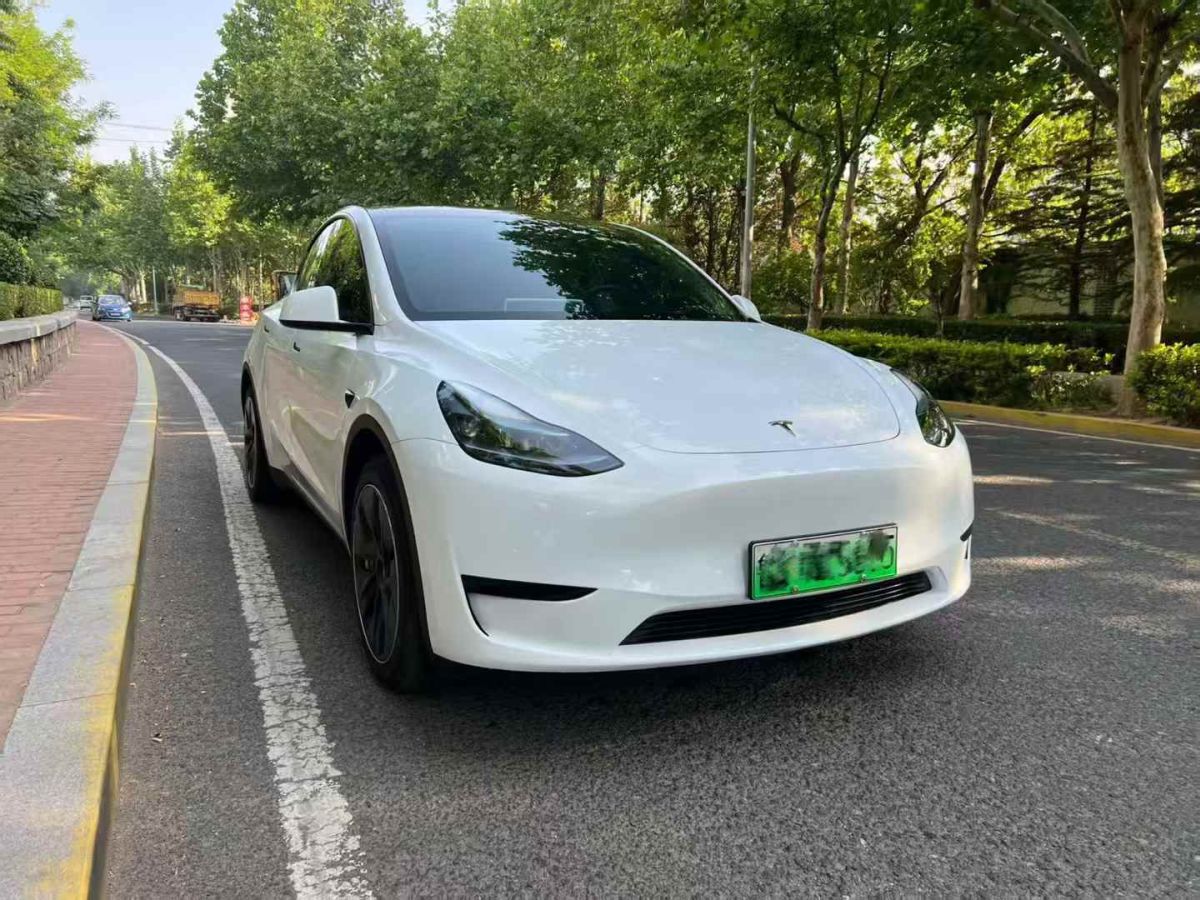 特斯拉 Model Y  2024款 Performance高性能版圖片