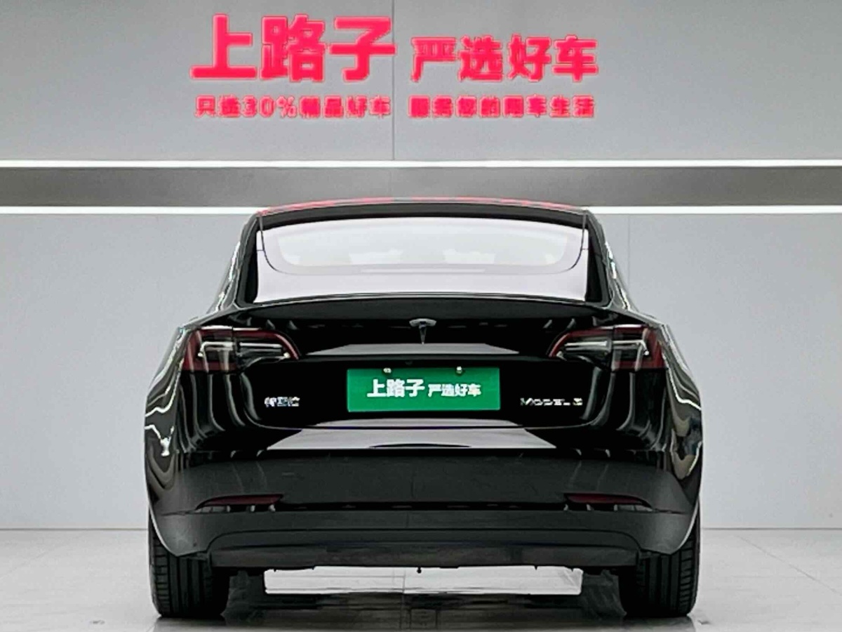 特斯拉 Model 3  2021款 標(biāo)準(zhǔn)續(xù)航后驅(qū)升級版 3D6圖片