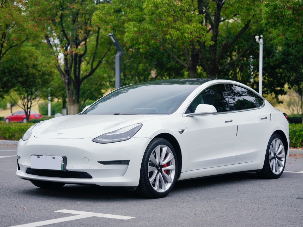 特斯拉 Model 3  2019款 Performance高性能全輪驅(qū)動(dòng)版圖片