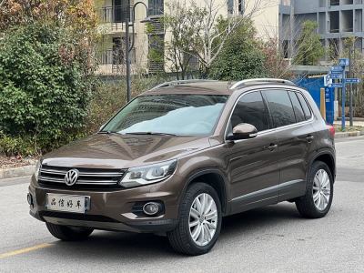 2013年4月 大眾 Tiguan(進口) 2.0TDI 豪華版圖片