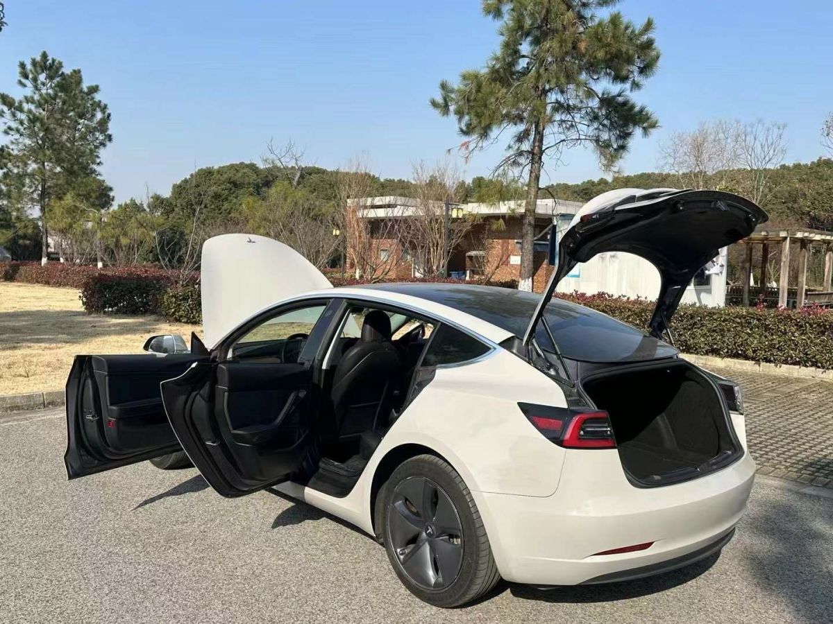 特斯拉 Model X  2020款 Performance 高性能版圖片