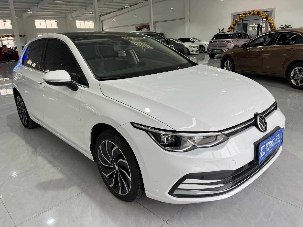 大眾 高爾夫  2021款 280TSI DSG Pro圖片