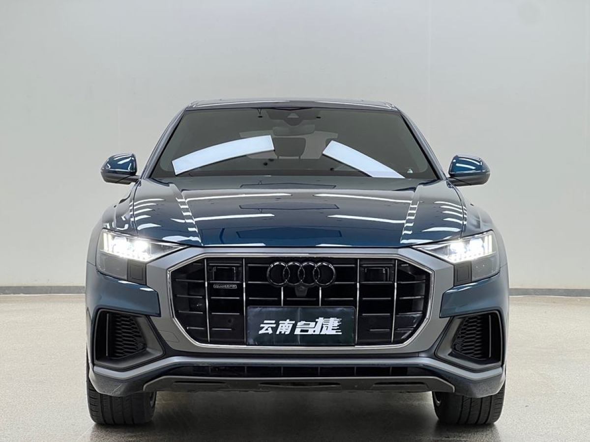 奧迪 奧迪Q8  2019款 55 TFSI 至尊限量版圖片