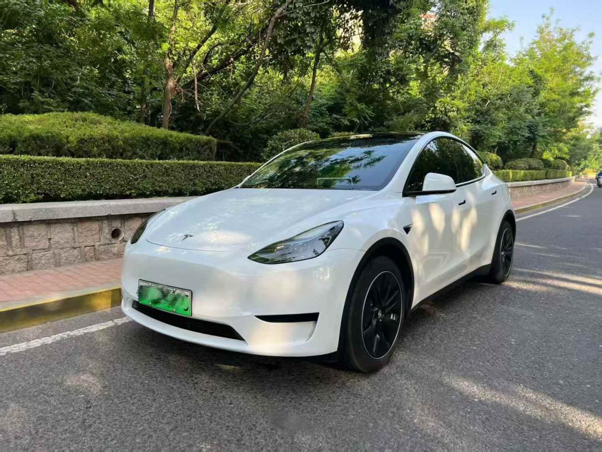 特斯拉 Model Y  2024款 Performance高性能版圖片