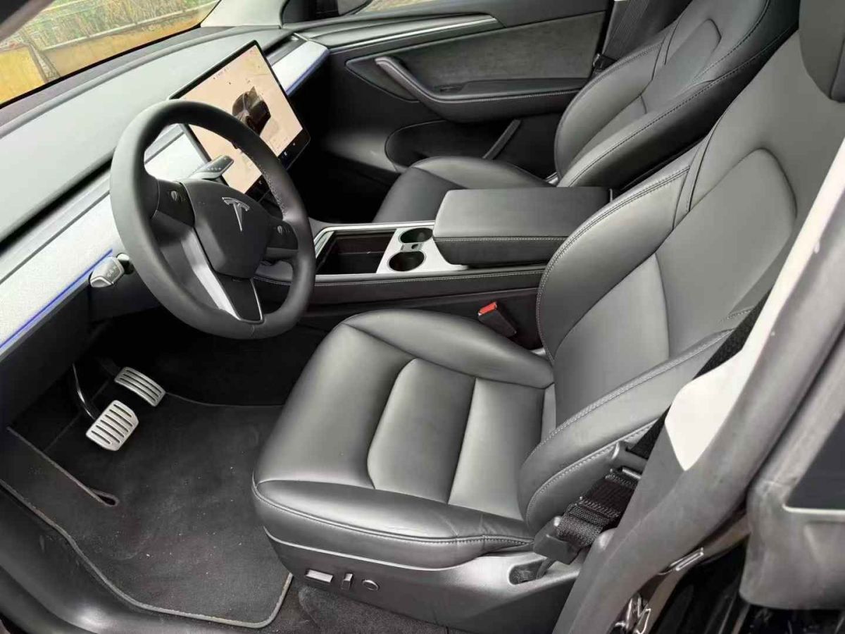 特斯拉 Model Y  2024款 Performance高性能版圖片
