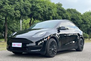 Model Y 特斯拉 標(biāo)準(zhǔn)續(xù)航后驅(qū)版