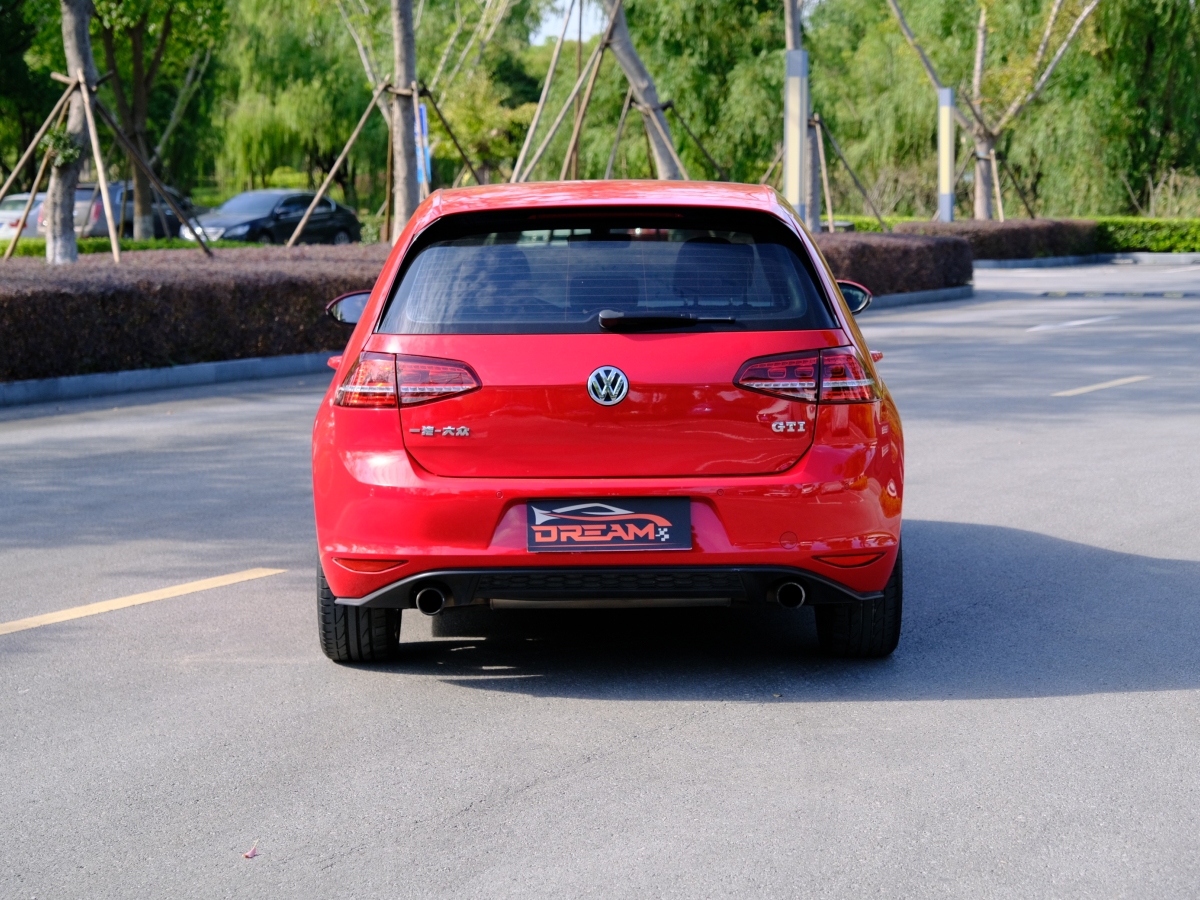 2017年6月大眾 高爾夫  2016款 2.0TSI GTI