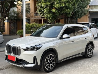 2024年1月 寶馬 寶馬iX1 xDrive30L X設(shè)計套裝圖片