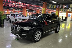 H7 哈弗 藍(lán)標(biāo)H7 2.0T 自動(dòng)豪華型