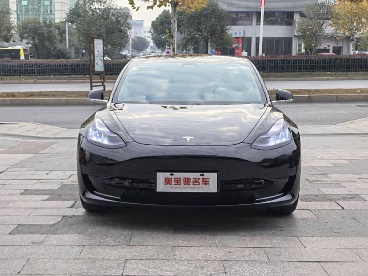 特斯拉 Model 3  2020款 改款 標(biāo)準(zhǔn)續(xù)航后驅(qū)升級版圖片